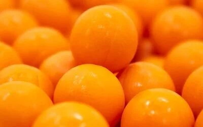 VALKEN-ORANGE-INFINITY-PAINTBALLS-4-1